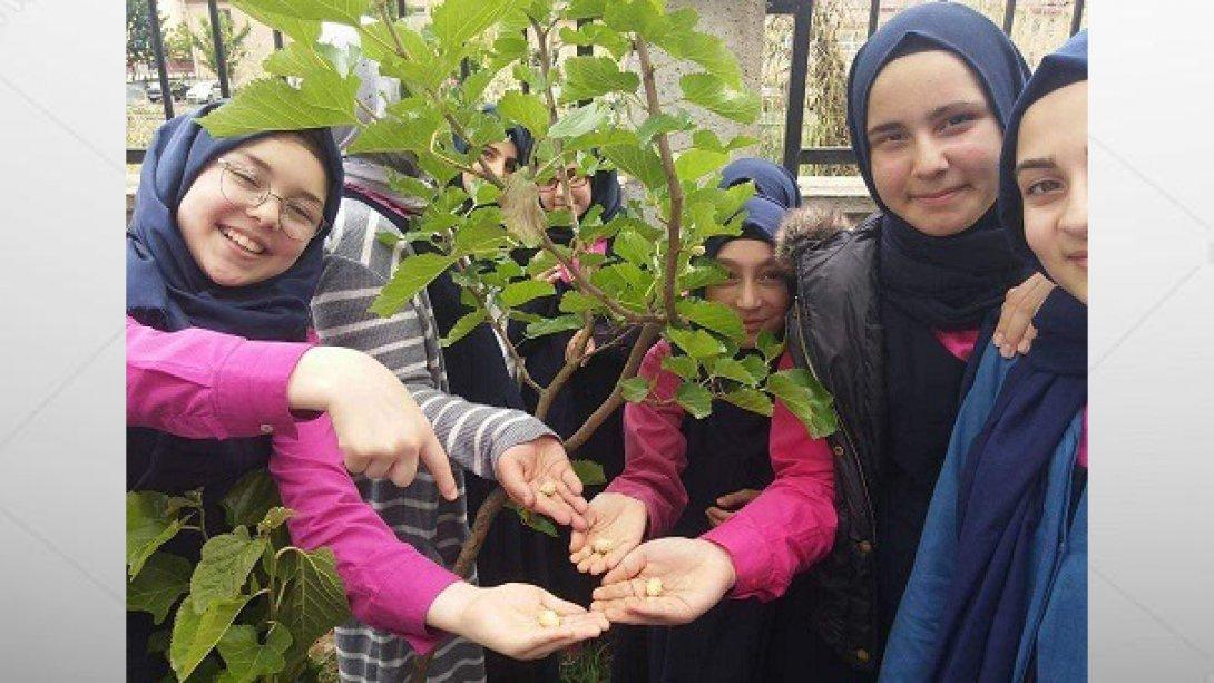                                         Öğrencilerimiz Tasarım ve Beceri Atölyeleri Bünyesinde Okul Bahçelerinde Oluşturulan Bitki Yetiştirme ve Hayvan Bakımı Alanlarında Yaşam Becerileri Kazanıyor