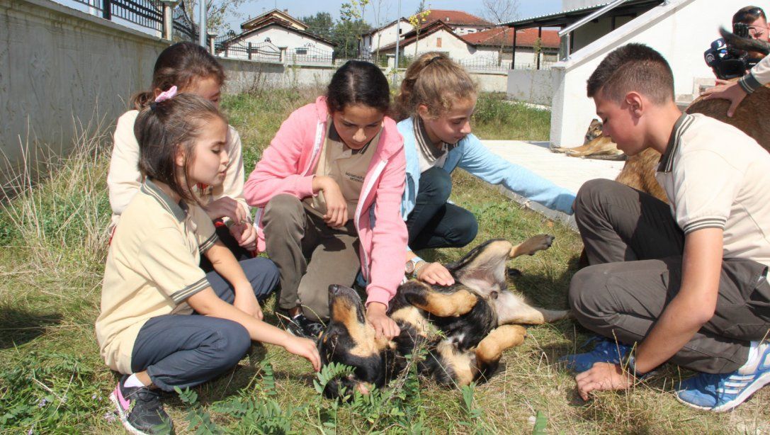 TOKİ Mehmet Akif Ersoy Ortaokulu'muzun Sokak Köpeklerini Sahiplenme Projesine Bakanlığımızın Anasayfasında Yer Verildi